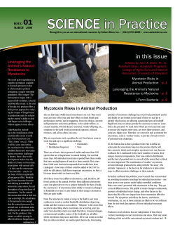 March 2008 Issue