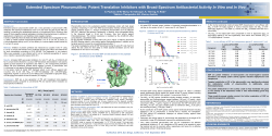 Extended Spectrum Pleuromutilins: Potent Translation Inhibitors with