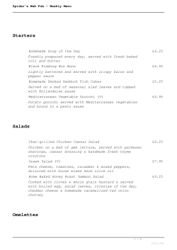 Spider`s Web Pub