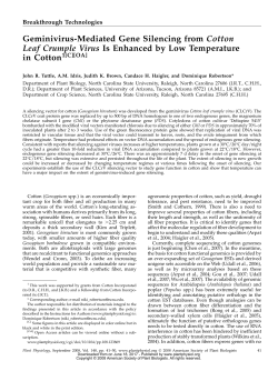 Geminivirus-Mediated Gene Silencing from Cotton Leaf Crumple