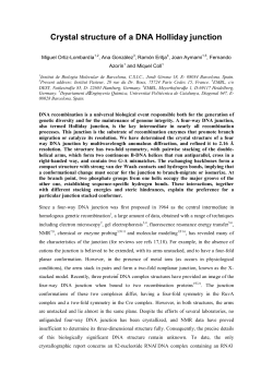 Crystal structure of a DNA Holliday junction