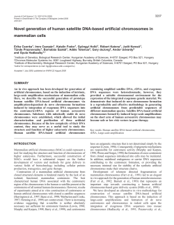Human artificial chromosomes