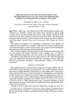 the relation of oxygen posttreatment and heterochromatin to x