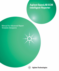 Manual for Advanced Report Template Designers