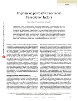 Engineering polydactyl zinc-finger transcription factors