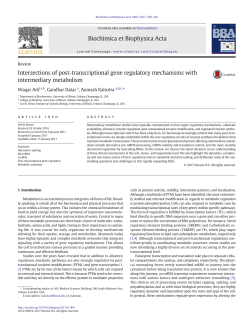 Intersections of post-transcriptional gene regulatory
