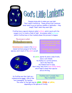 God`s Little Lanterns