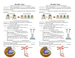 Heredity Notes Heredity Notes