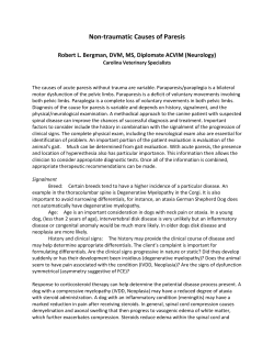 Non-traumatic Causes of Paresis - Upstate Veterinary Specialists