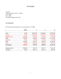 NPV and Debt Assume