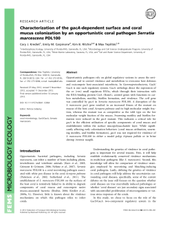 Characterization of the gacA‐dependent surface and coral mucus