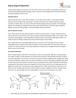 Dog-to-Dog Introductions