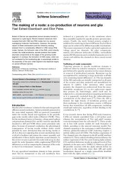 The making of a node: a co-production of neurons and glia