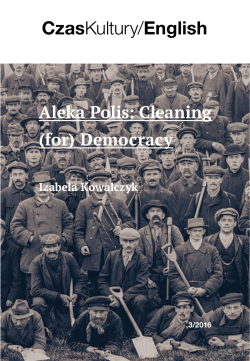 Aleka Polis: Cleaning (for) Democracy