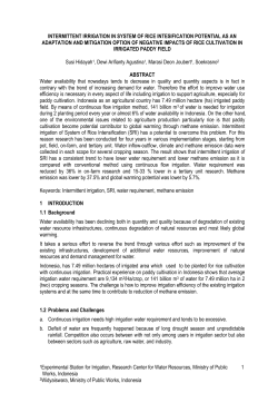 INTERMITTENT IRRIGATION IN SYSTEM OF RICE