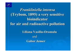 Frankliniella intonsa (Trybom, 1895) a very sensitive bioindicator for