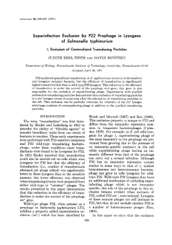Superinfection Exclusion by P22 Prophage in Lysogens of