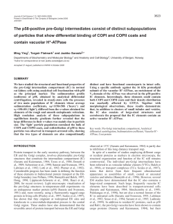 Subpopulations of IC elements - Journal of Cell Science