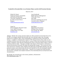 Tradeoffs for Downside Risk Averse Decision Makers and the Self