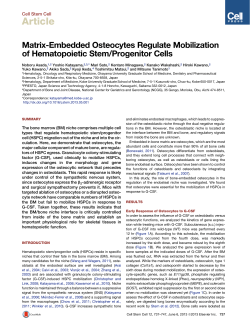 Matrix-Embedded Osteocytes Regulate Mobilization of