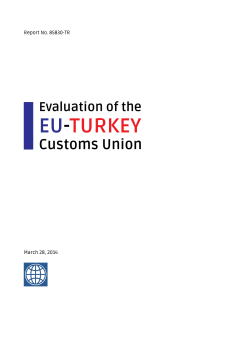 Evaluation of the EU-Turkey Customs Union