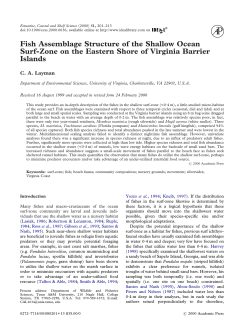 Fish Assemblage Structure of the Shallow Ocean Surf