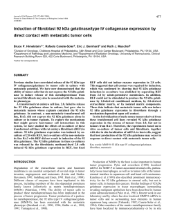 Induction of fibroblast 92 kDa gelatinase/type IV collagenase
