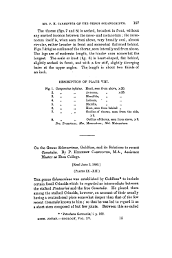 On the Genus Solanocrinus, Goldfuss, and its