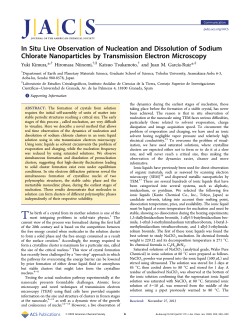 In Situ Live Observation of Nucleation and Dissolution of Sodium
