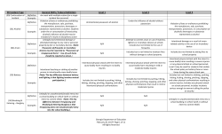 SR Incident Type General NCES / Federal Definition Level 1 Level 2