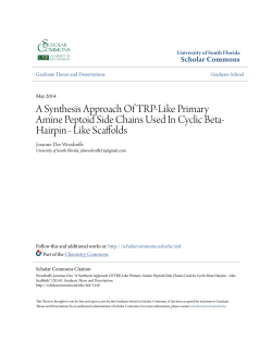 A Synthesis Approach Of TRP-Like Primary Amine Peptoid Side