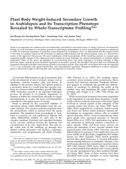 Plant Body Weight-Induced Secondary Growth in