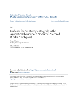 Evidence for Air Movement Signals in the Agonistic Behaviour of a
