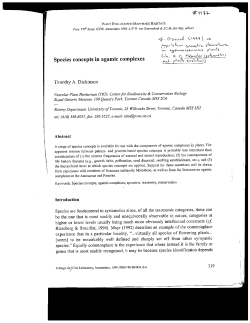 Species concepts in agamic complexes