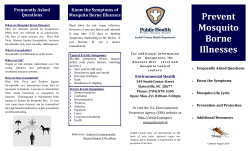 Prevent Mosquito Borne Illnesses
