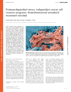 Protease-dependent versus -independent cancer cell invasion