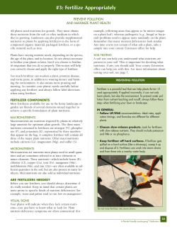 #3: Fertilize Appropriately