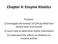 Chapter 4: Enzyme Kinetics