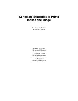 Candidate Strategies to Prime Issues and Image