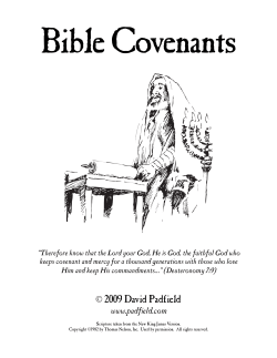 Bible Covenants - David Padfield
