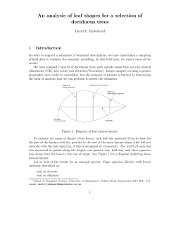 leaf shapes - School of Computer Science