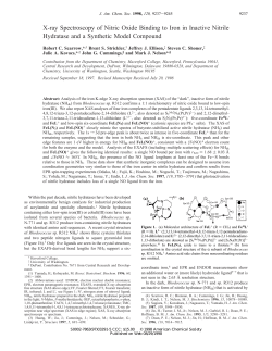 X-ray Spectroscopy of Nitric Oxide Binding to
