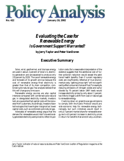 Evaluating the Case for Renewable Energy: Is