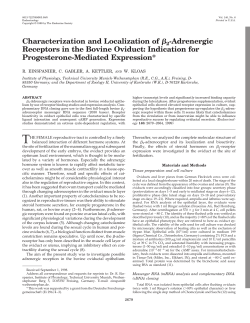 Characterization and Localization of&beta; 2