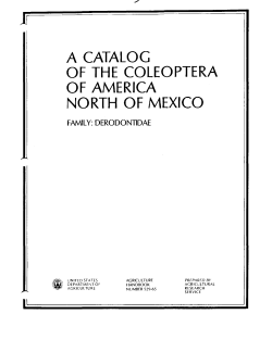 Derodontidae - Department of Entomology