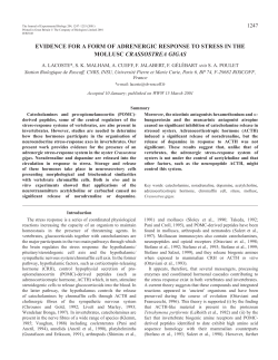 Adrenergic responses to stress of Crassostrea gigas