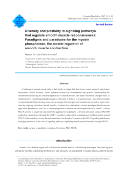 Diversity and plasticity in signaling pathways that regulate smooth
