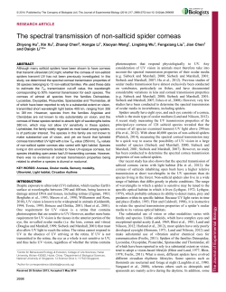 The spectral transmission of non-salticid spider corneas