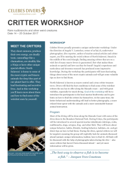 PDF - Celebes Divers