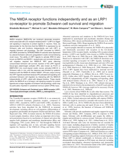 The NMDA receptor functions independently and as an LRP1 co